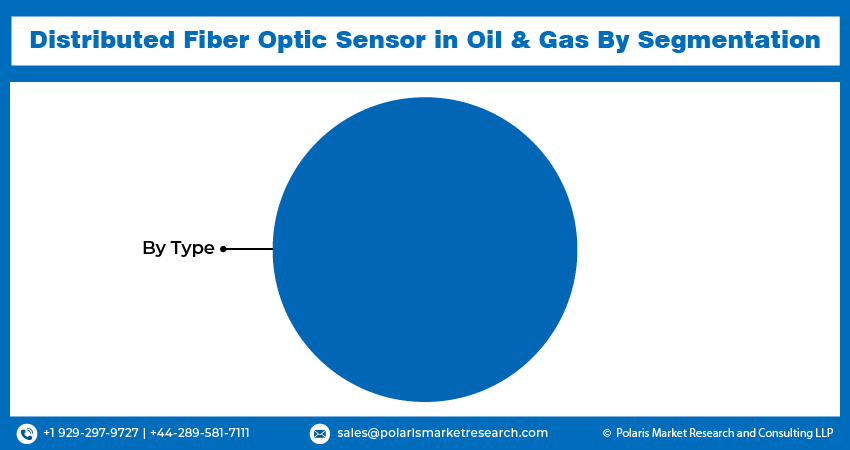 Distributed Fiber Optic Sensor Seg